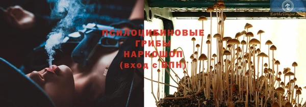 твердый Алексин