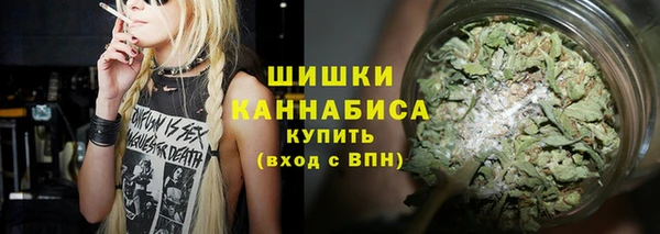 спайс Покачи