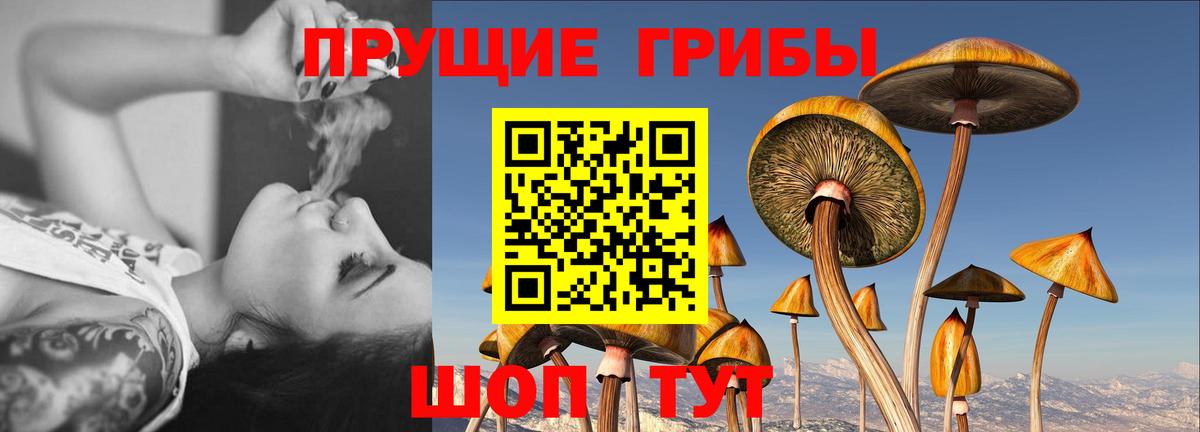 Псилоцибиновые грибы прущие грибы Нефтекумск