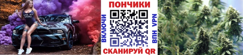 Конопля SATIVA & INDICA  блэк спрут онион  Нефтекумск  купить закладку 